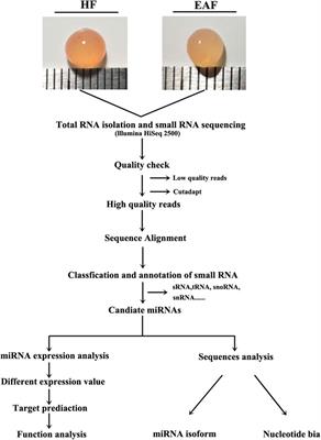 Comparative miRNA expression profile analysis of porcine ovarian follicles: new insights into the initiation mechanism of follicular atresia